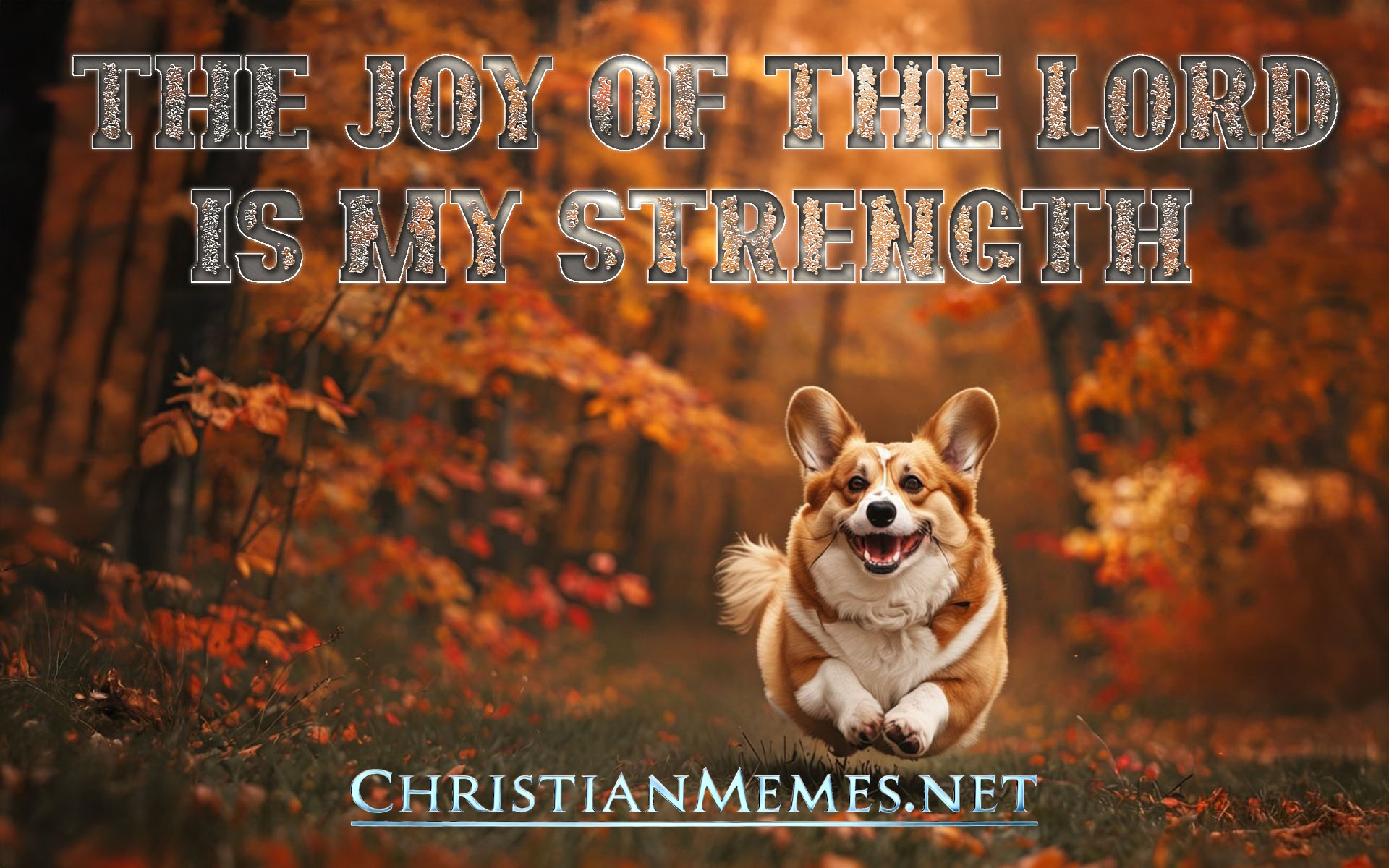 The Joy Of The Lord