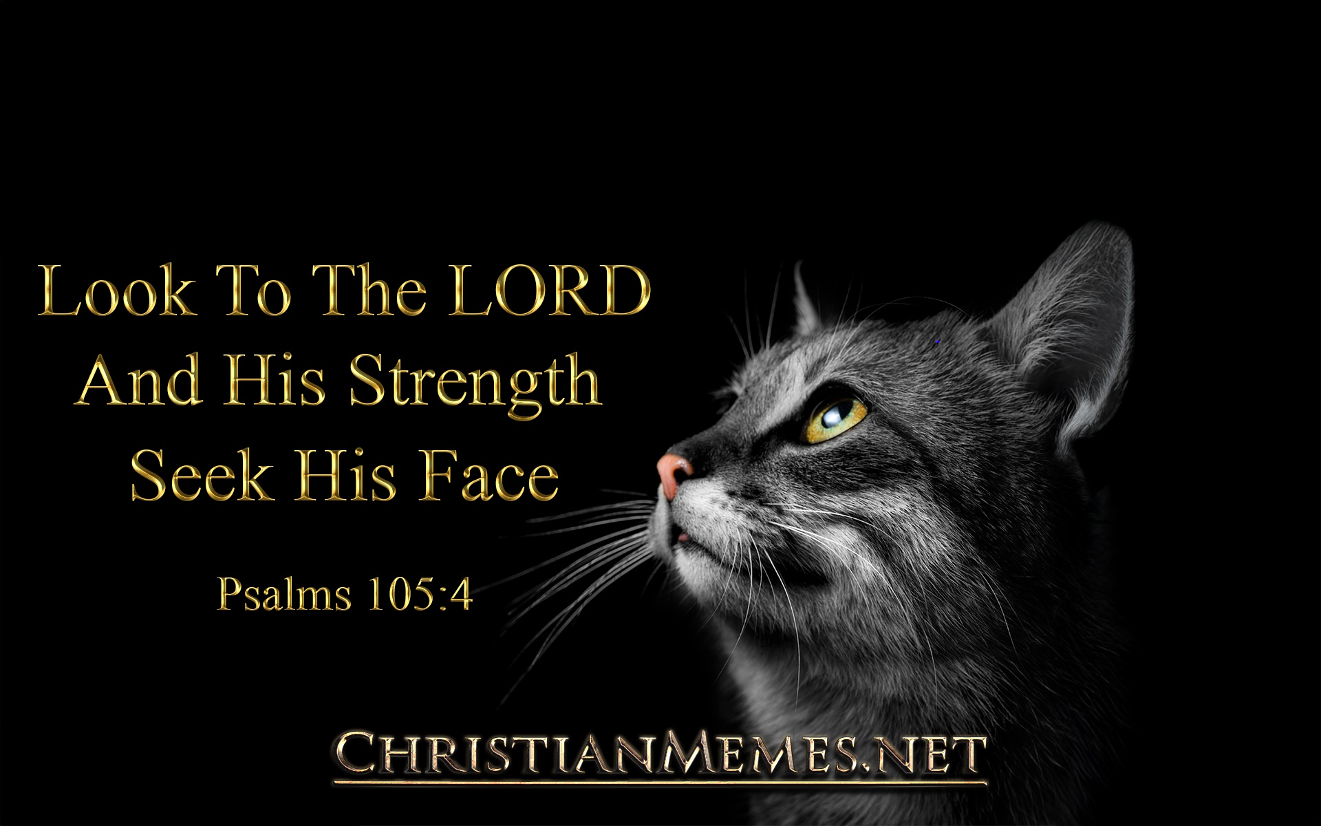 Look To The Lord Psalm 105 Verse 4